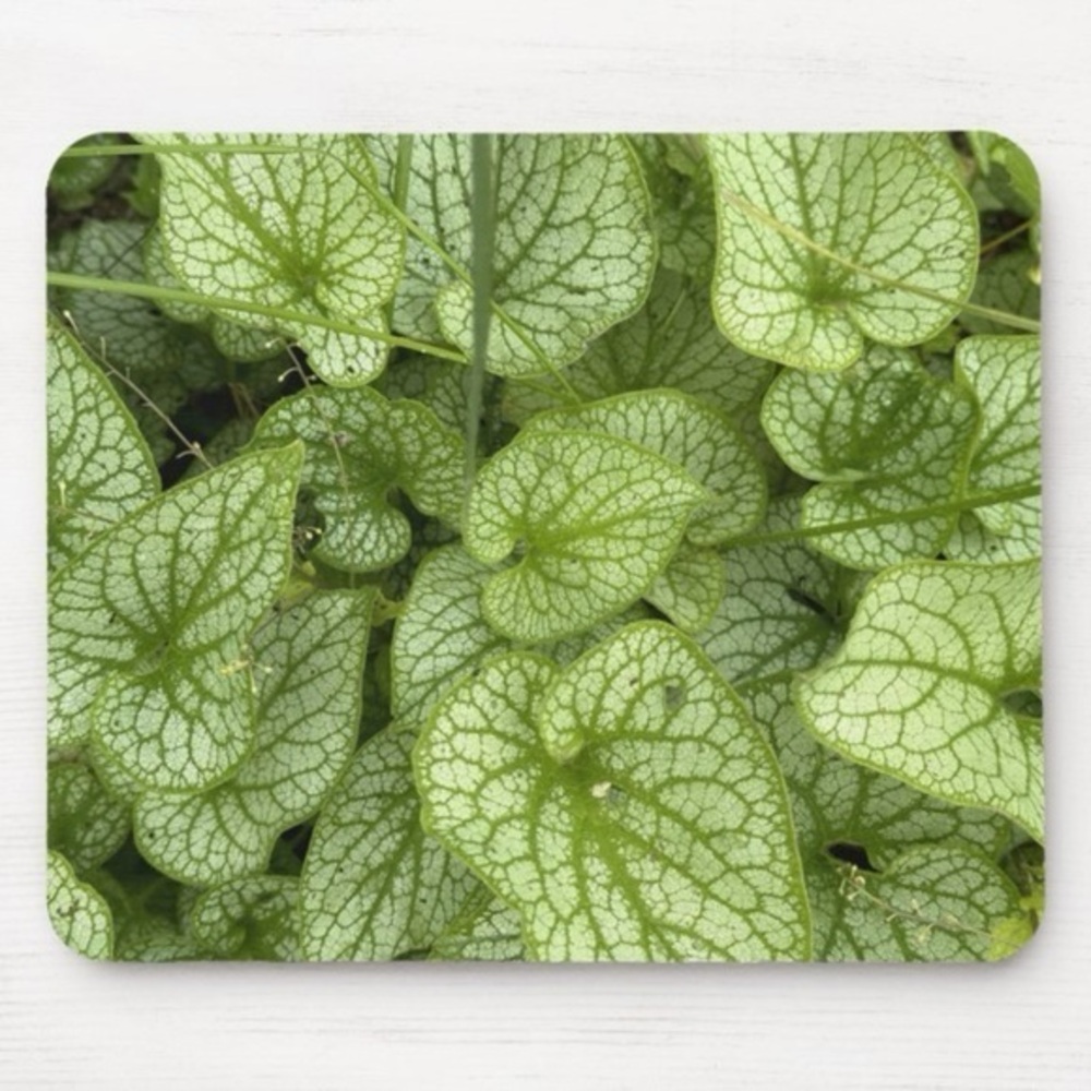 New mousepad with original photography work.